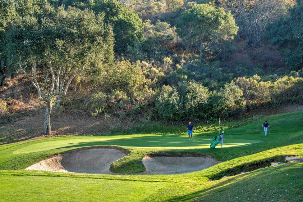 Photo Gallery -- Shows off Bunkers on #8 nicely